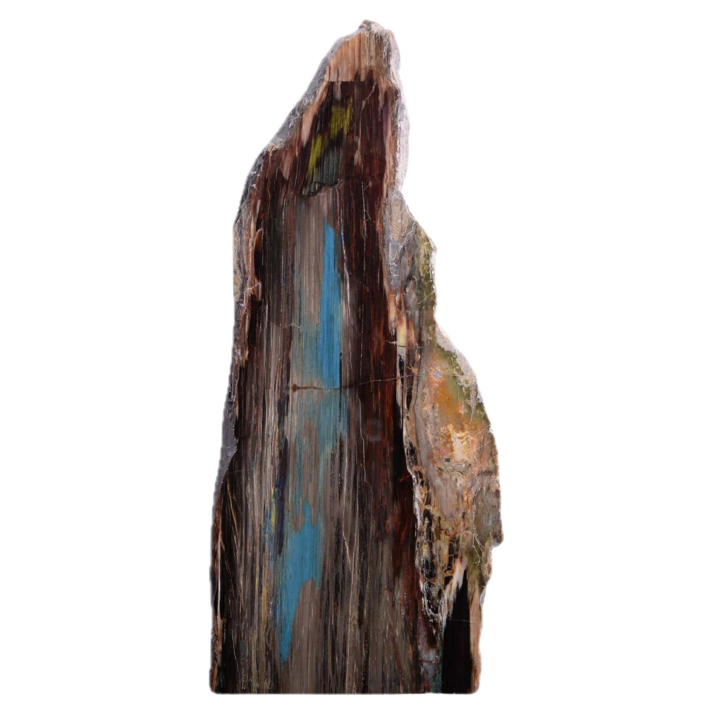 Petrified Wood