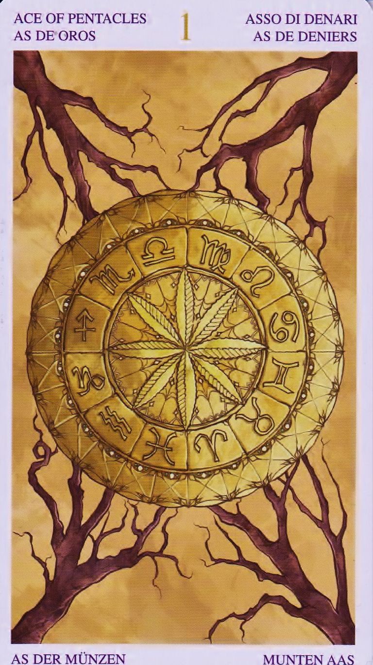 Ace of Pentacles moodboard