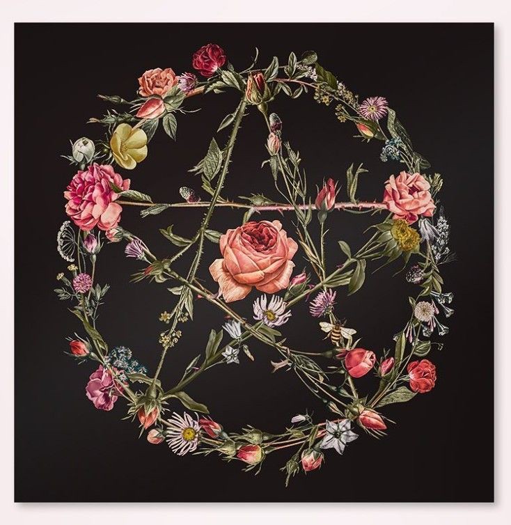 Ace of Pentacles moodboard