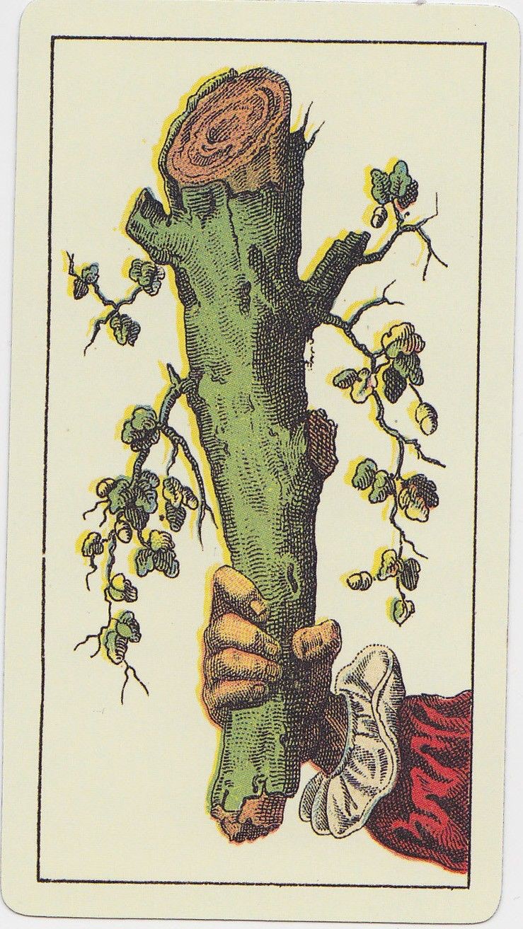 Ace of Wands moodboard